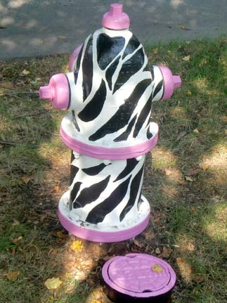 Zebra - 519 S. Euclid (2)